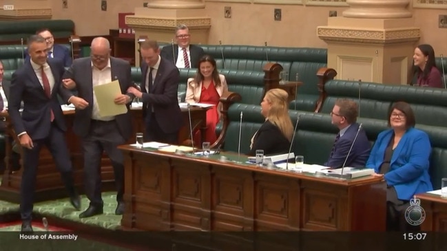 Leon Bignell dragged into SA Speaker’s chair