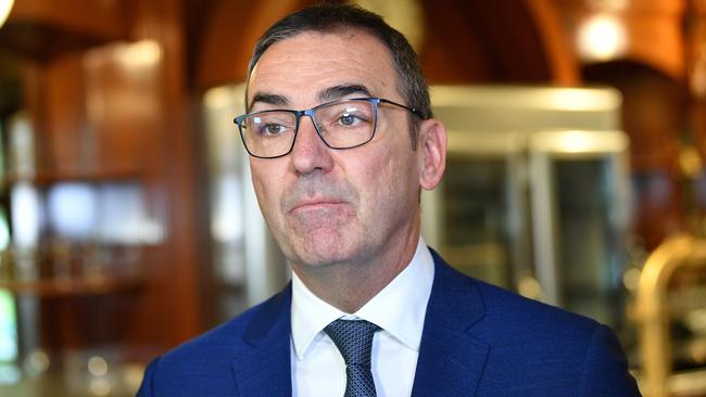 South Australian Premier Steven Marshall. Picture: AAP