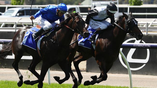 Finance Tycoon (rails) during his fighting win down the Flemington straight on Melbourne Cup Day.