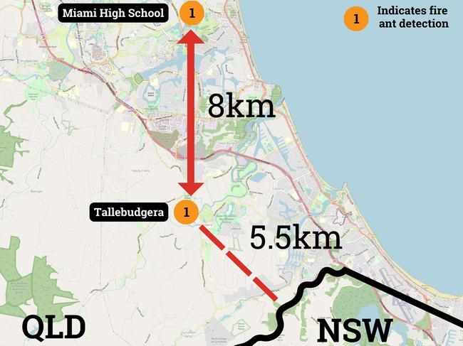 The Tallebudgera fire ant outbreak is just 5.5km from the NSW border. Picture: Invasive Species Council