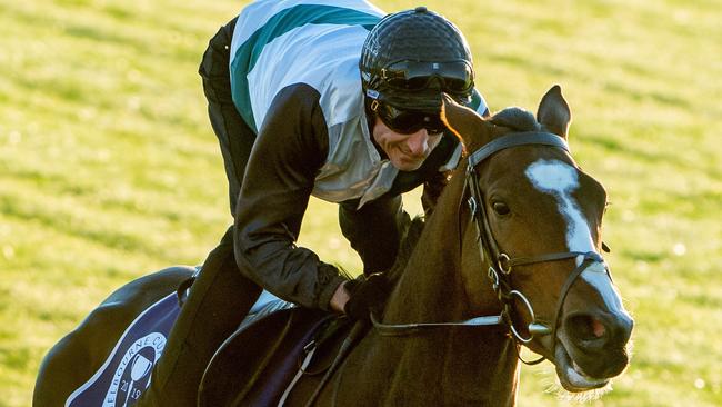 Nick Williams says Constantinople isn’t ready to win the Melbourne Cup. Picture Jay Town