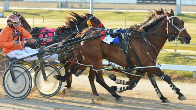 Harness racing in Hobart. Pic Peter Staples