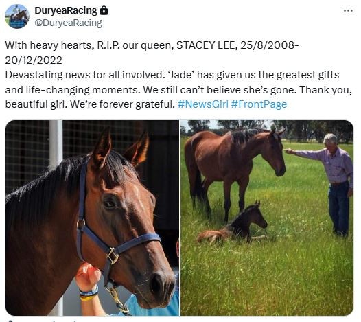 The Duryea racing family has fond memories of their smart racemare and producer Stacey Lee.