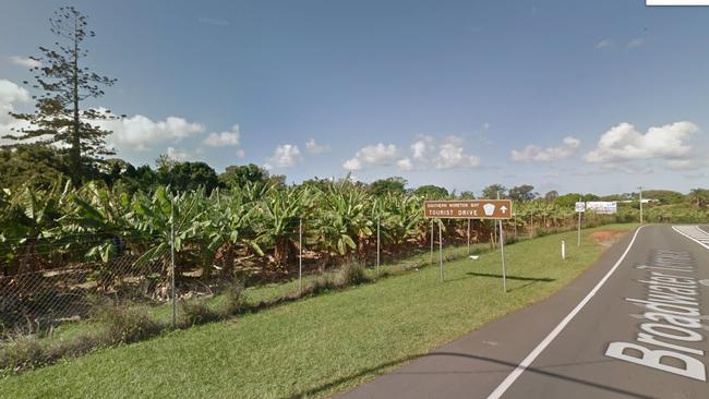 The banana plantation before construction. Picture: Supplied