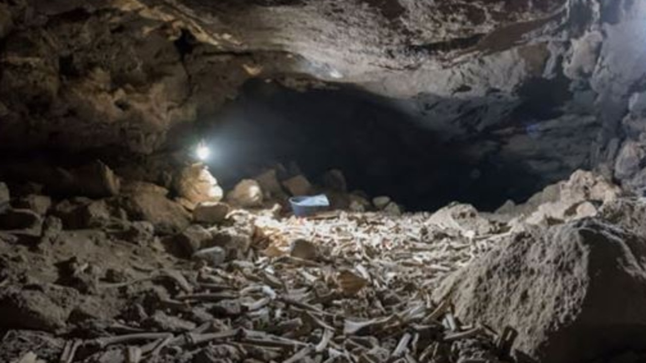 Hundreds of thousands of bones have been found in an underground cave in Saudi Arabia.