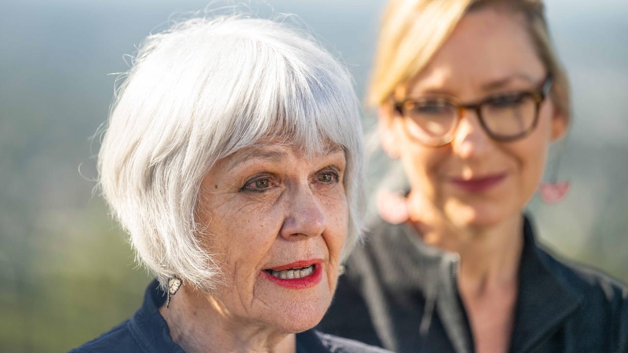 The last Greens seat in the country: Brisbane’s Ryan