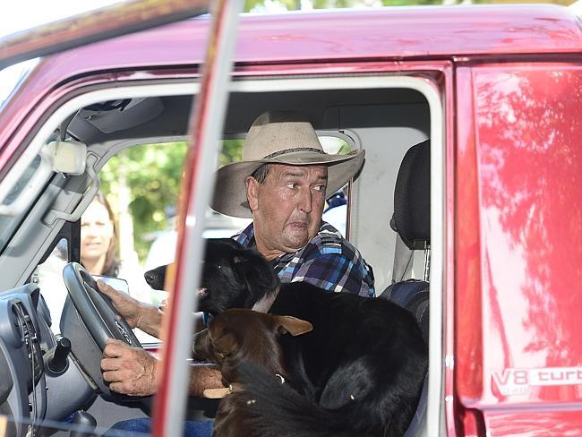 The buffalo wrangler hurriedly gets ready to leave the scene after the buffalo's capture. Picture: John Appleyard