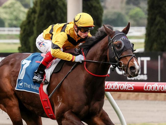 Acromantula ridden by Craig Williams wins the Paramount Liquor Carlyon Stakes at Moonee Valley Racecourse on August 26, 2023 in Moonee Ponds, Australia. (Photo by George Sal/Racing Photos via Getty Images)