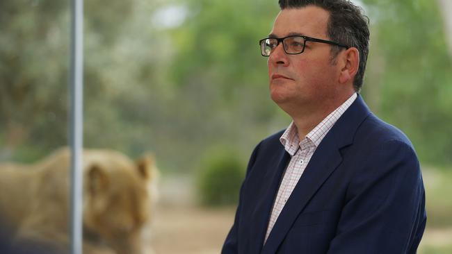 Andrews made the annoucement at the Lion enclosure of Werribee Open Range Zoo. Picture: NCA NewsWire / Daniel Pockett