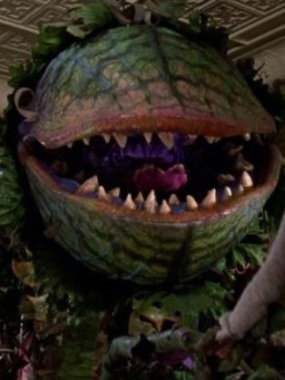 An image from the 1986 film version of <i>Little Shop of Horrors.</i>