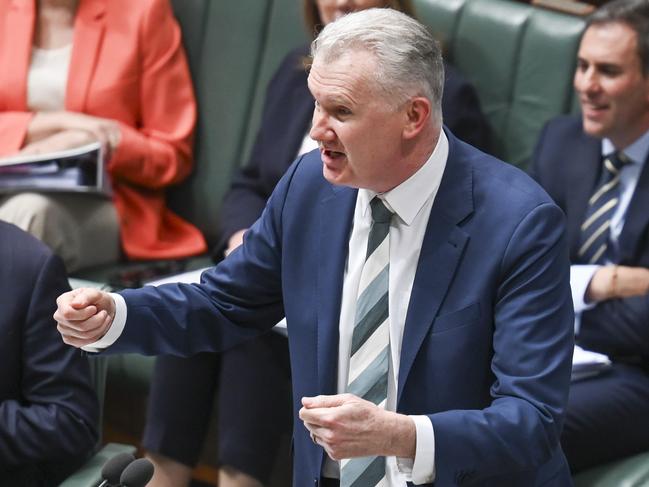 CANBERRA, Australia - NewsWire Photos - August 19, 2024: Leader of the House, Employment and Workplace Relations and Arts Minister, Tony Burke during Question Time at Parliament House in Canberra. Picture: NewsWire / Martin Ollman