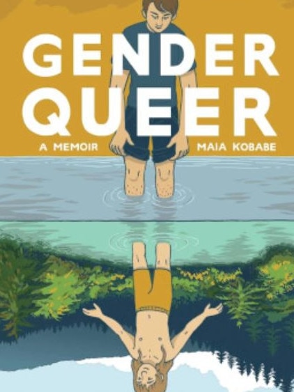 The cover of the book Gender Queer.