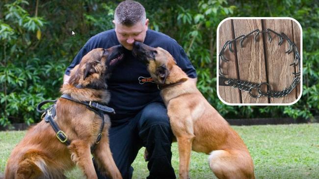 Nine people have been mauled to death from dog attacks since 2018 and the country’s top dog trainer, Steve Courtney, warns that will increase if pronged dog collars are banned.