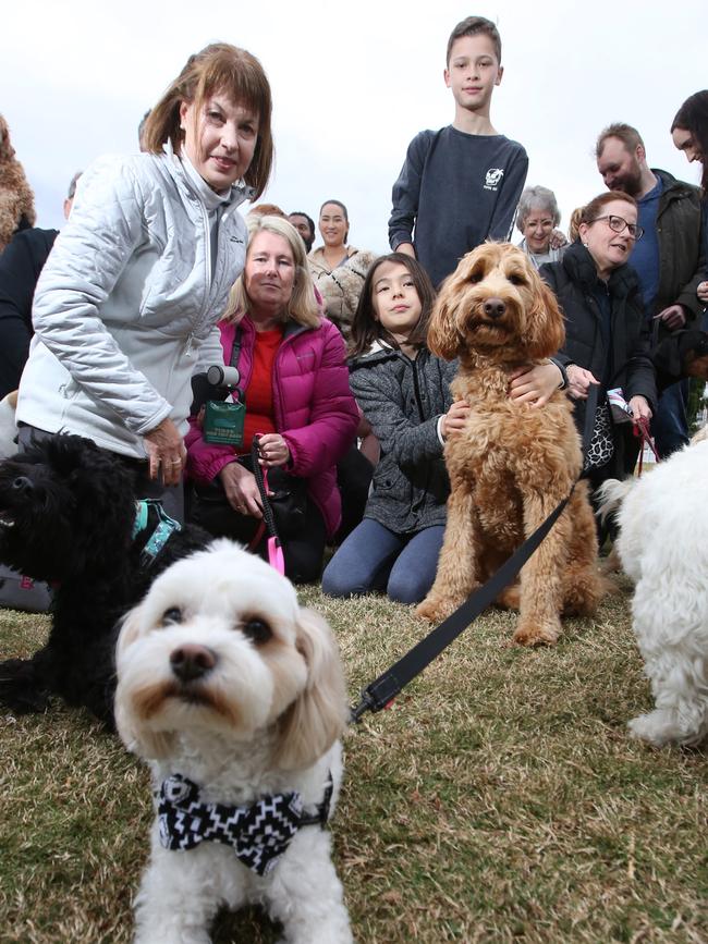 Canada Bay Council have off-leash parks at Abbotsford, Five Dock, Drummoyne, Chiswick and North Strathfield. Picture: Bob Barker.