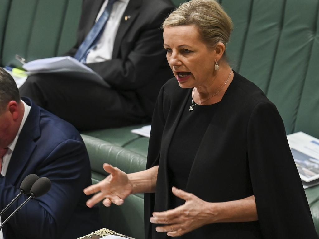 Environment Minister Sussan Ley said the reef avoiding ‘in danger’ status was a win for tourism operators. Picture: NCA NewsWire/Martin Ollman