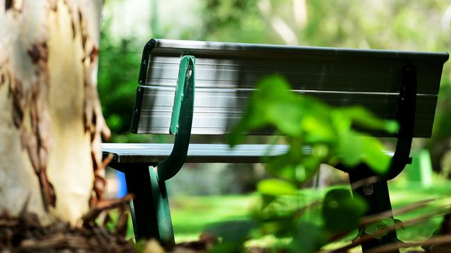 More seating at Collinsville parks has been flagged as a priority. Picture: Alix Sweeney