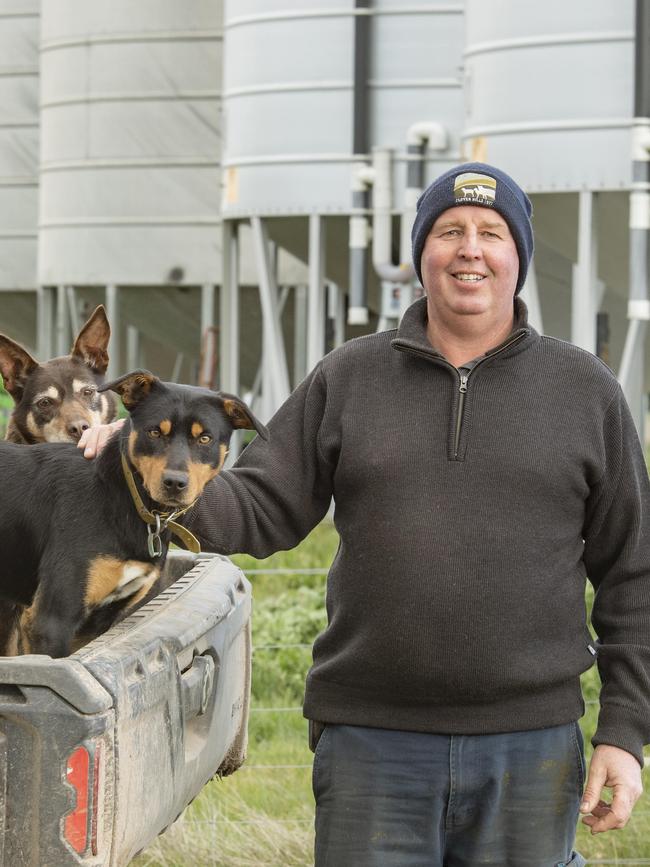 VFF Livestock President Scott Young. Picture: Zoe Phillips