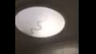 NOPE: A snake slithering around in the skylight at a home in Onkaparinga Hills.