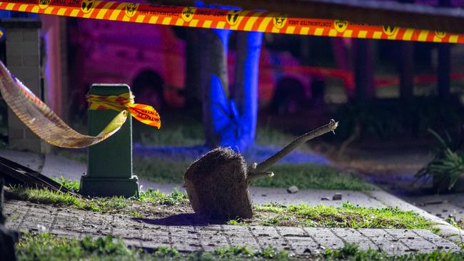 A pot plant and debris blown on to the front yard after the explosion.