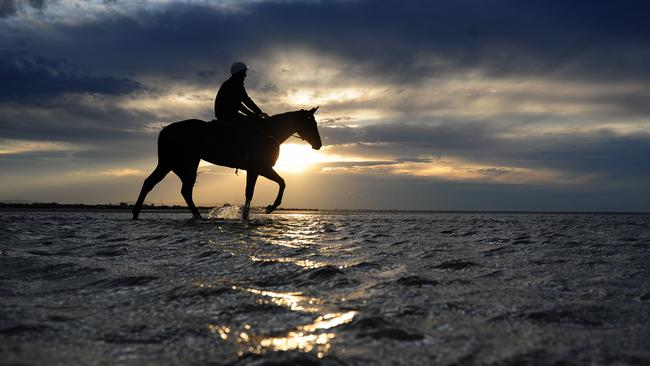 Ben Cadden riding Winx in the shallow waters of Altona beach in Melbourne.