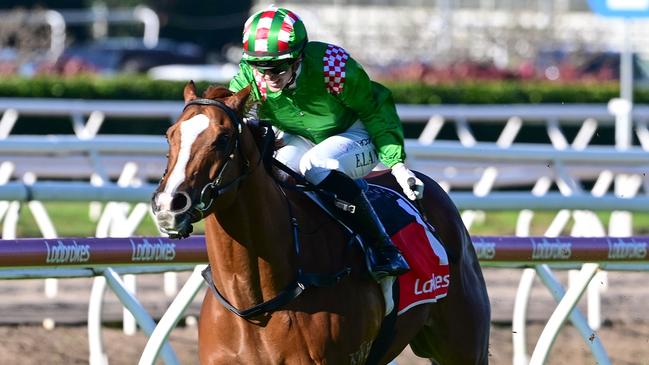 Emily Lang lands her first Saturday metro winner aboard Hold On Honey for Steve O'Dea and Matt Hoysted. Picture: Grant Peters / Trackside Photography