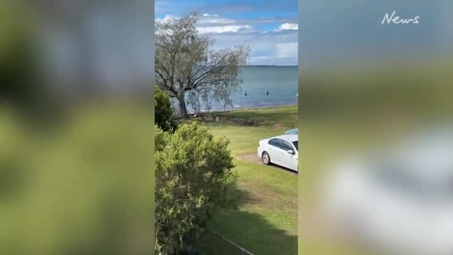 Stolen Merc, bizzare ocean getaway: Teen trio swims from police