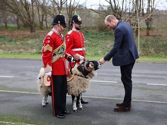 Prince William was welcomed to the barracks by the mascot, a ram called Derby. Picture: WPA Pool/Getty Images