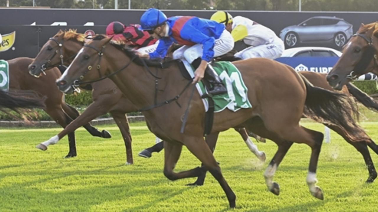 Princess Rayaa can break through for her first win at Canterbury on Wednesday. Picture: Bradley Photos