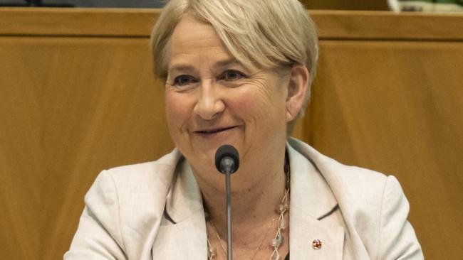 Senator Barbara Pocock at the Select Committee on Work and Care at Parliament House in Canberra. Picture: Martin Ollman/NCA NewsWire