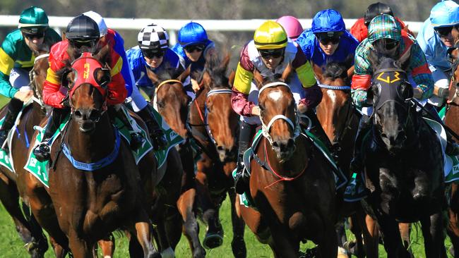 Racing in New South Wales on Friday is at Scone.