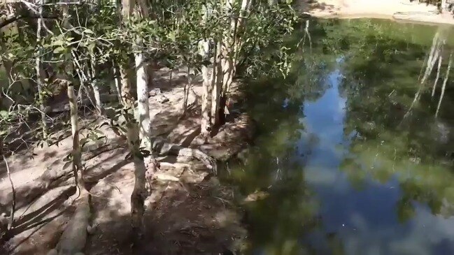 Hartley's Crocodile Adventures