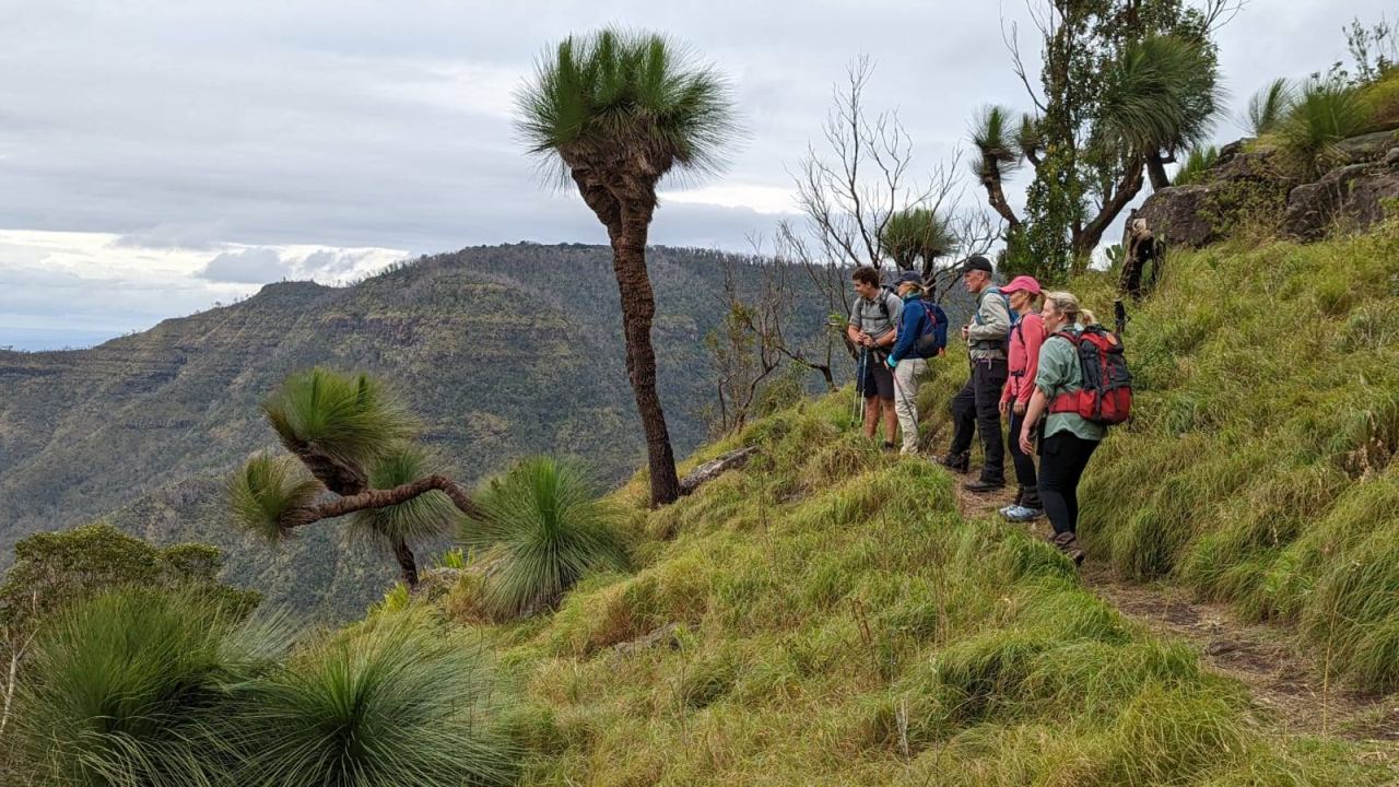 Spicers Scenic Rim Trail 