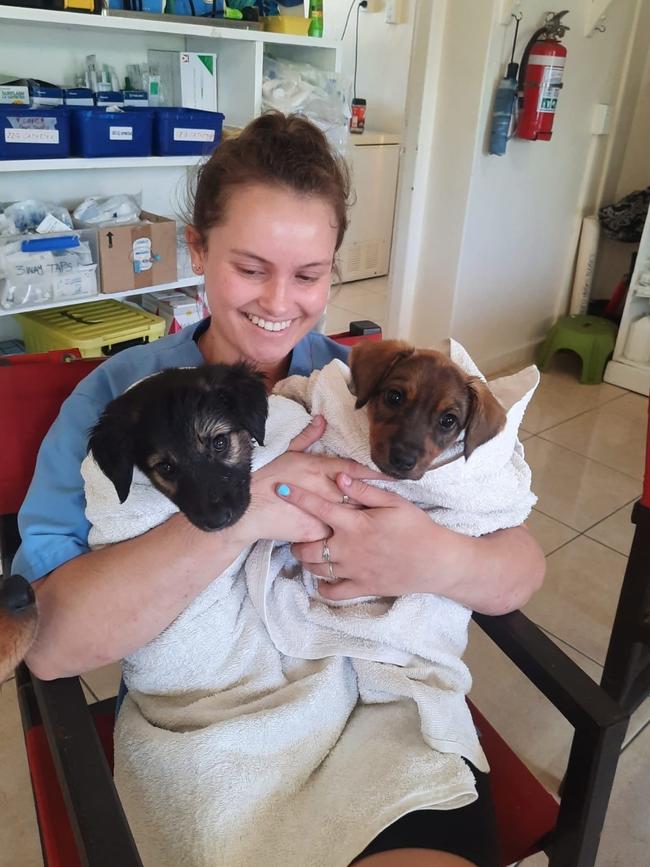 A volunteer cuddles some dogs at Te Are Manu vet clinic. Picture: Vets Beyond Borders