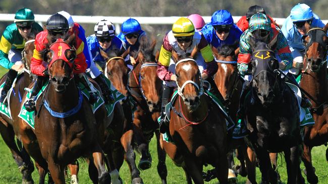Loving home ridden by Tye Angland  (yellow cap, maroon with yellow armbands) wins race 1 during Scone  Races located in the Upper Hunter Region of NSW. The Bend . Pic Jenny Evans
