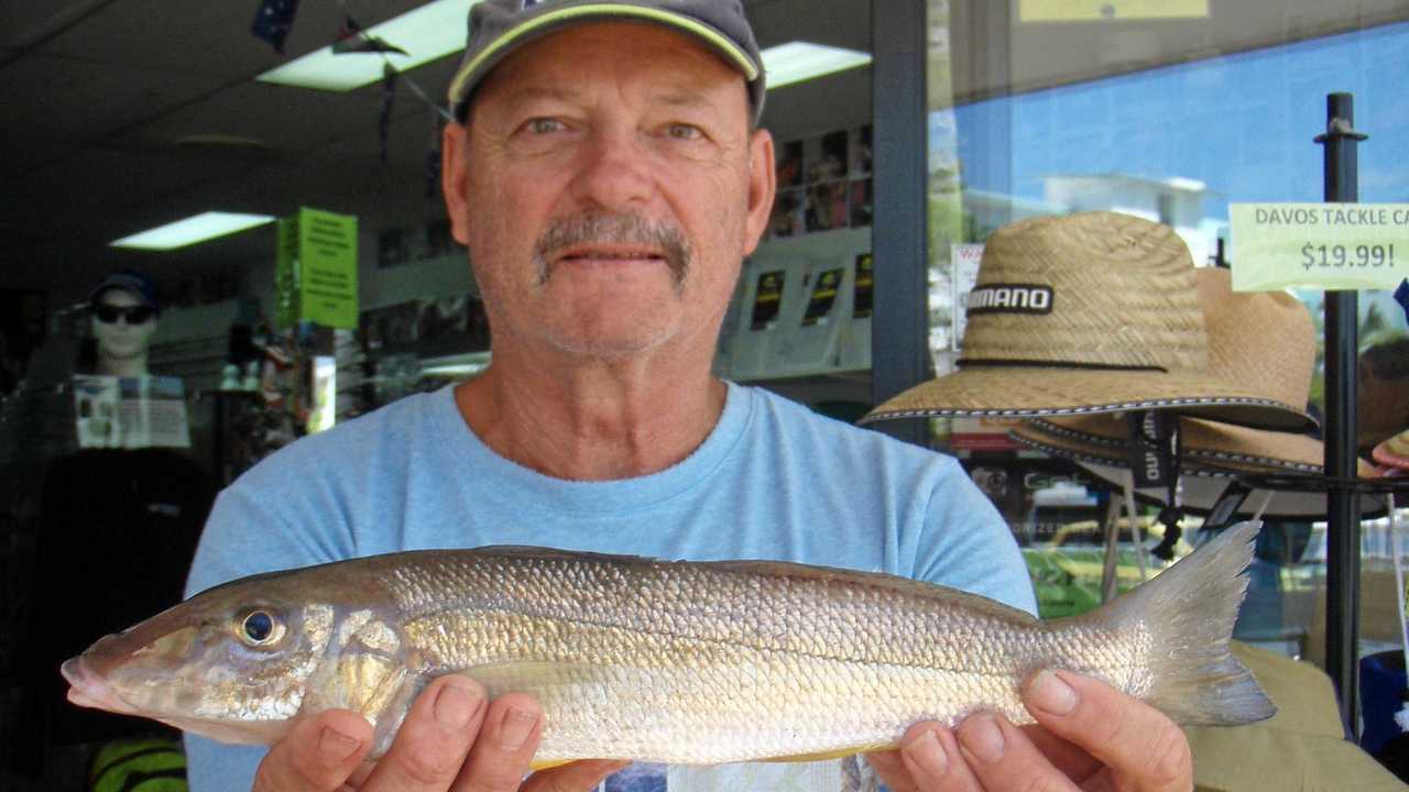 How to rig up worms to catch Whiting like an expert. 