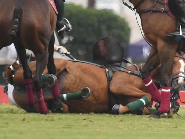 Prince Harry falls off horse during polo