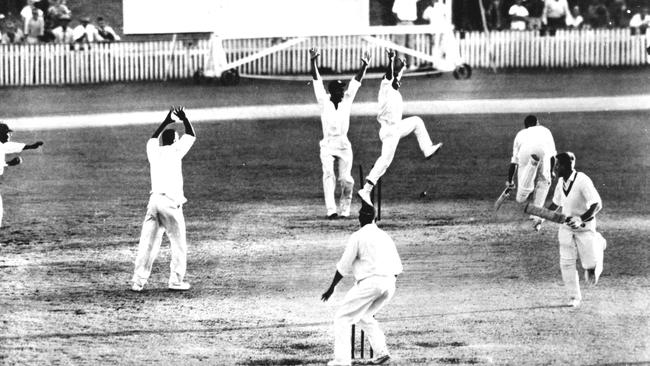 West Indian players celebrate as Ian Meckliff is run out to tie the game.