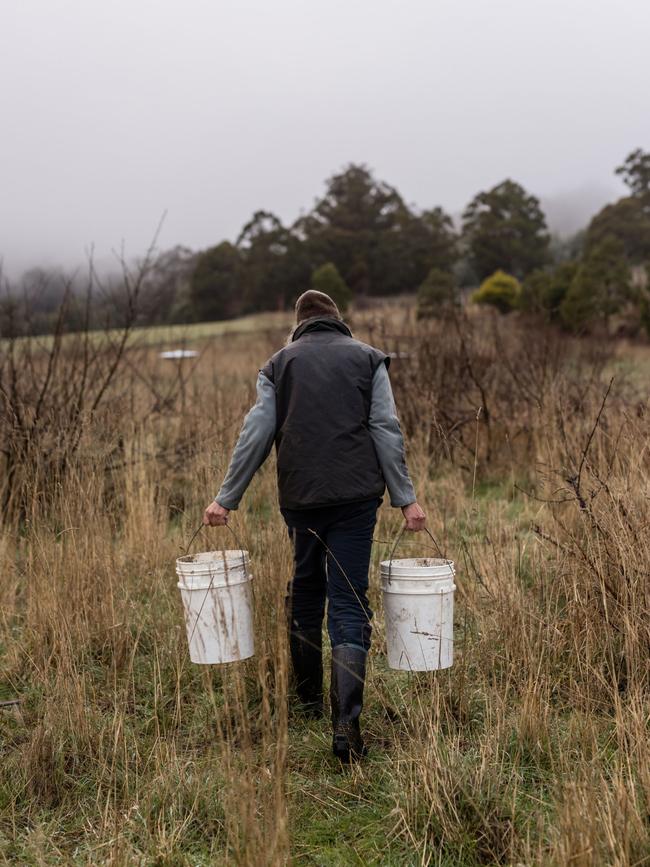 Farmer and author Matthew Evans on his property at Cygnet. Picture: Adam Gibson