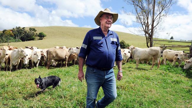 Liberal Warren Entsch on the Malanda Atheron Tablelands farm. Pic: Brian Cassey