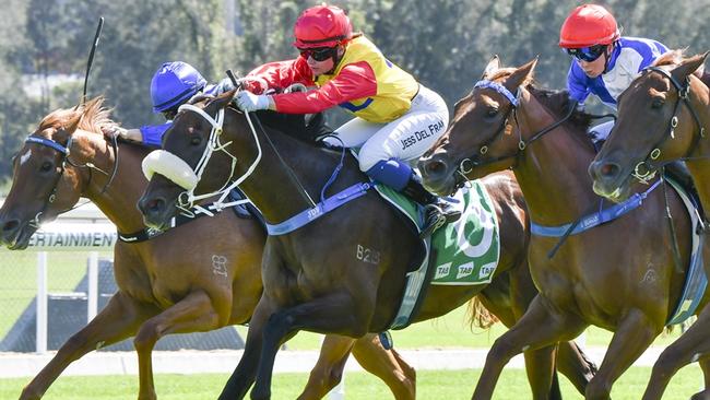 Extremely Frilly (inside) was nosed out on debut but can go one better when she resumes at Gosford. Picture: Bradley Photos