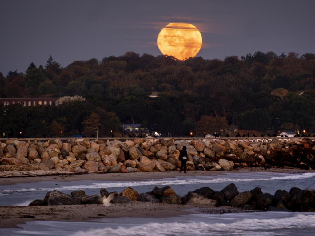 Niendorf, Germany. Picture: AP Photo/Michael Probst