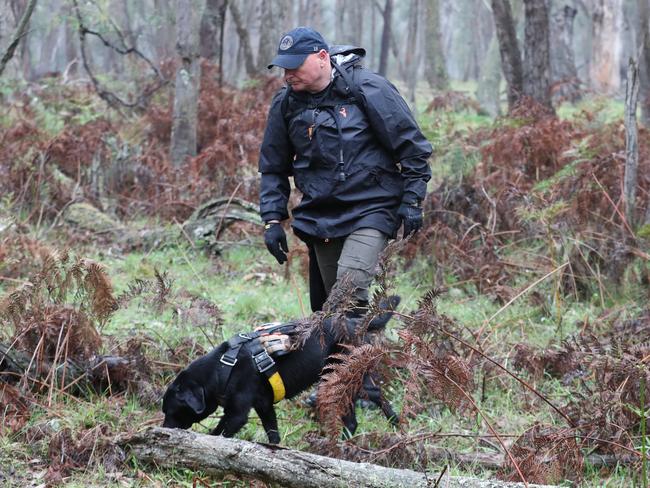 BALLARAT, AUSTRALIA - NewsWire Photos - 25 SEPTEMBER, 2024:  POOL IMAGE (VICTORIA POLICE). Police with dogs join a search in an area around Enfield State park in Victoria on a new search for the body of Samantha Murphy who went missing after going for a run in February. Wednesday, September 25. 2024. Picture: NewsWire /pool / David Crosling