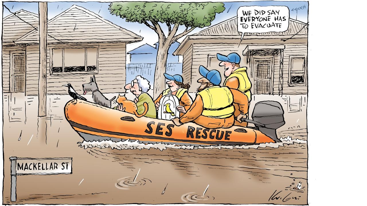 Mark Knight cartoon captures Aussie spirit amid floods | KidsNews