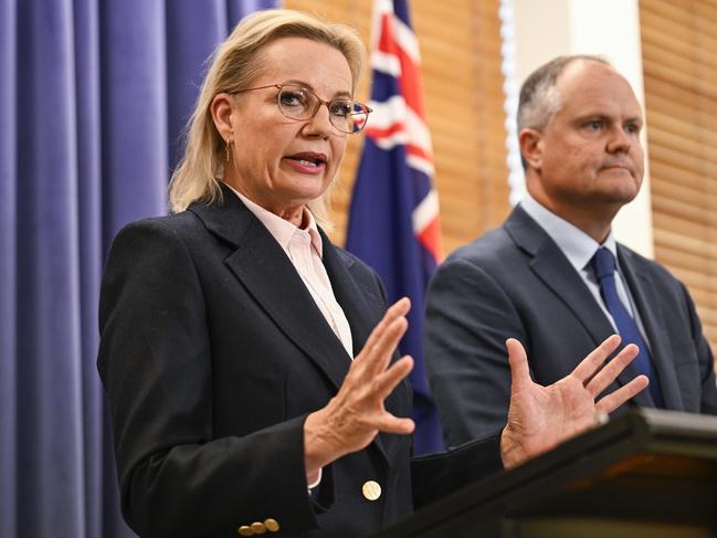 Liberal Party leader Sussan Ley and with deputy leader Ted O'Brien. Picture: NewsWire / Martin Ollman