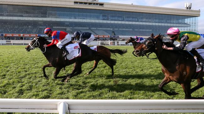 Verry Elleegant only needed to finish in the top three for the TAB punter to collect. Picture: Getty Images