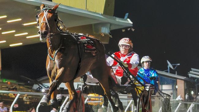 Queen Elida will start favourite in the Group 1 Maori Trotters’ Mile at Bendigo on Saturday night. Picture: Dan Costello