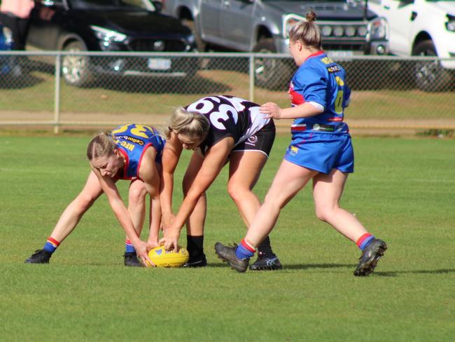 SFLW Community League: Claremont v Huonville. Picture: Jake Garland