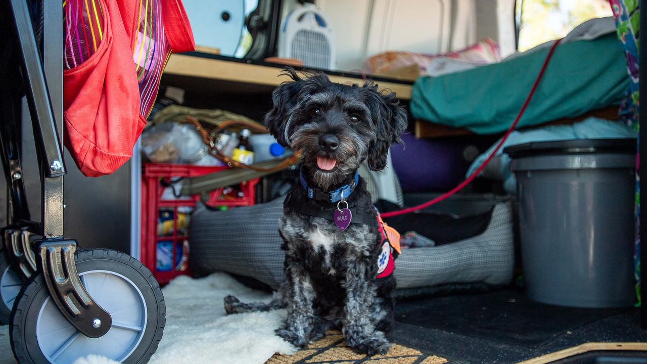 Wendy says her support dog Max “keeps me going”, but having him – along with limited income – has meant she’s not been able to secure a private rental. Picture: Pema Tamang Pakhrin