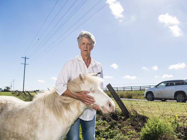 How region’s second-worst road blinded this horse