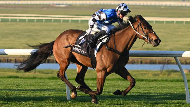 Golden Crusader has a top chance to complete successive wins when the Mick Price and Michael Kent-trained galloper steps out at The Valley. Picture: Getty Images